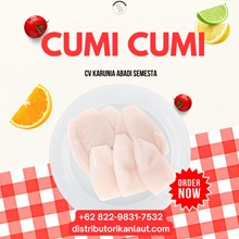 Cumi Dadu (Squid Cube) Frozen- Karton 10 Kg