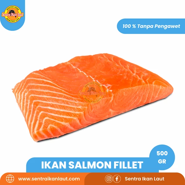 Frozen Fish and Salmon Fillets 500 gram