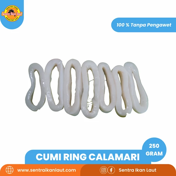 Frozen Calmari Squid Rings 250 Gram