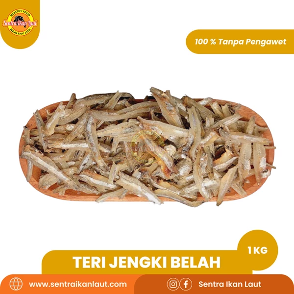 Jengki Anchovy Dried Salted Fish 1 Kg
