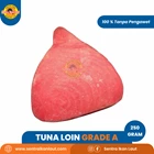 Tuna Fillet Grade A 1 Kg 1