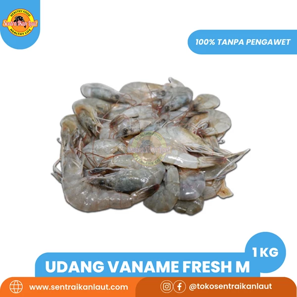 Udang Vaname Fresh Ukuran 71-80 Size M Fresh 1 Kg 