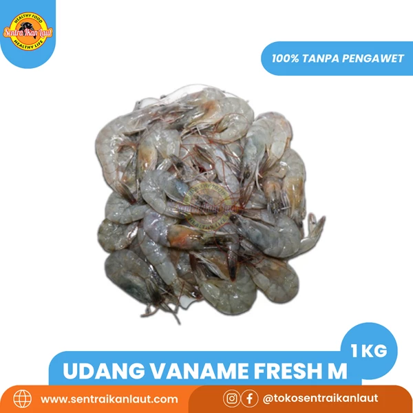 Udang Vaname Fresh Ukuran 71-80 Size M Fresh 1 Kg 