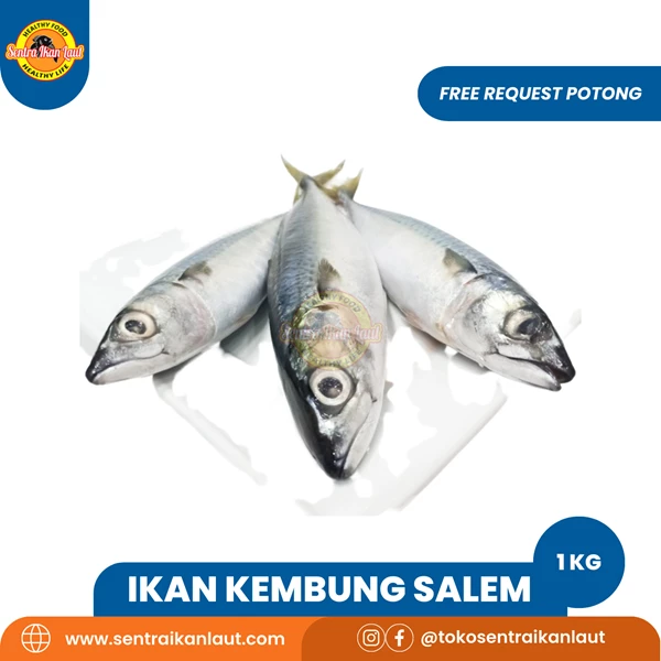 Ikan Kembung Salem 1 Kg