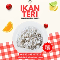  Fresh Medan Anchovies Without Salt 1 KG