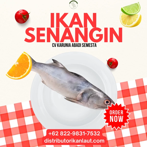 Ikan Senangin Utuh Bersih Beku (WGGS/HGT Fresh Frozen) 10 - 20 KG