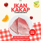 Ikan Kakap Merah Fillet Beku (Red Snapper Fillet) Premium IQF Skinless/Boneless 10 - 20 KG 1