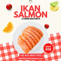 Ikan Salmon Atlantik Utuh (Whole Gutted) Chilled/Air-Flown 20-30 Kg