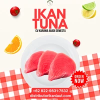 Ikan Tuna Giling – Minced Tuna (Pack 25 KG)