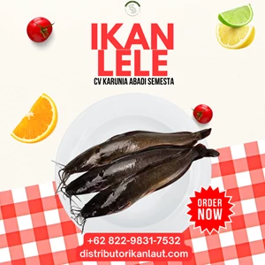 Pure Minced Catfish Meat 25 KG