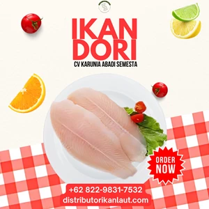 Ikan Dori Daging Giling Halus (Minced Dori Meat) – Blok 25 Kg