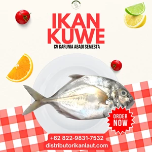 Skin-On Kuwe Fish Fillet Jakarta – 25 Kg Vacuum Pack