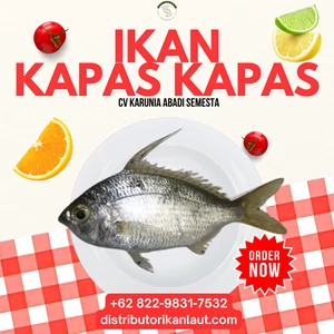 Sea Frozen Cotton Fish Whole Block – Wholesale 15 Kg