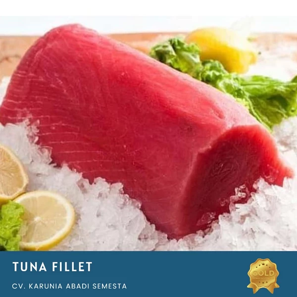 Frozen Fish and Tuna Fillet 1 Kg