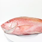 Ikan Segar Kakap Merah 1 Kg 2