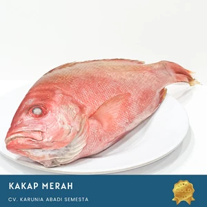 Ikan Segar Kakap Merah 1 Kg