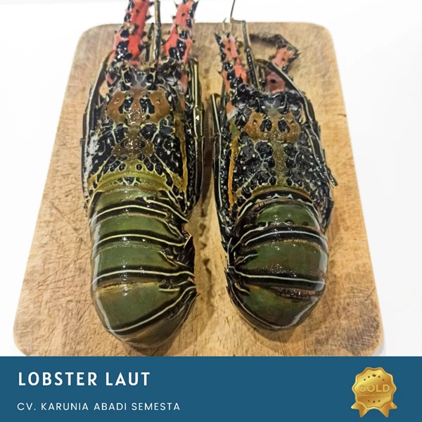 Seafood Lobster Laut 1 KG