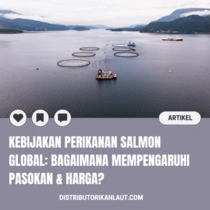 Kebijakan Perikanan Salmon Global: Bagaimana Mempengaruhi Pasokan & Harga?