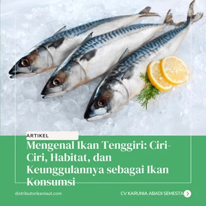 Mengenal Ikan Tenggiri: Ciri-Ciri, Habitat, dan Keunggulannya sebagai Ikan Konsumsi