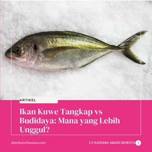 Ikan Kuwe Tangkap vs Budidaya: Mana yang Lebih Unggul?