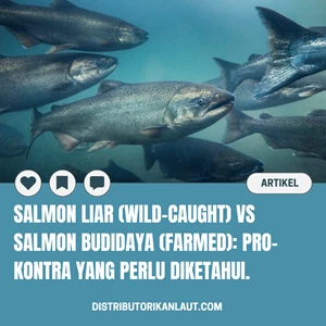 Salmon Liar (Wild-Caught) vs Salmon Budidaya (Farmed): Pro-Kontra yang Perlu Diketahui.