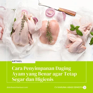 Cara Penyimpanan Daging Ayam yang Benar agar Tetap Segar dan Higienis