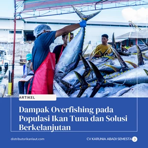 Dampak Overfishing pada Populasi Ikan Tuna dan Solusi Berkelanjutan