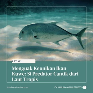 Menguak Keunikan Ikan Kuwe: Si Predator Cantik dari Laut Tropis