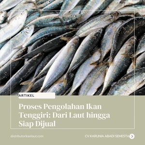 Proses Pengolahan Ikan Tenggiri: Dari Laut hingga Siap Dijual