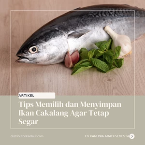 Tips Memilih dan Menyimpan Ikan Cakalang Agar Tetap Segar