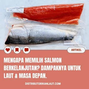 Mengapa Memilih Salmon Berkelanjutan? Dampaknya untuk Laut & Masa Depan