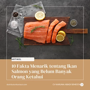 10 Fakta Menarik tentang Ikan Salmon yang Belum Banyak Orang Ketahui