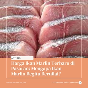 Harga Ikan Marlin Terbaru di Pasaran: Mengapa Ikan Marlin Begitu Bernilai?