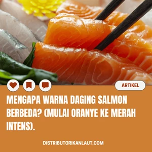 Mengapa Warna Daging Salmon Berbeda? (Mulai Oranye ke Merah Intens)