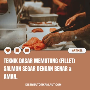 Teknik Dasar Memotong (Fillet) Salmon Segar dengan Benar & Aman