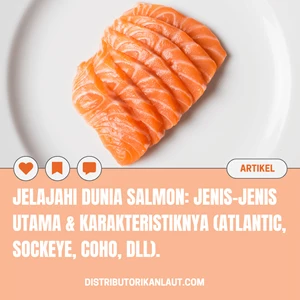 Jelajahi Dunia Salmon: Jenis-Jenis Utama & Karakteristiknya (Atlantic, Sockeye, Coho, dll).