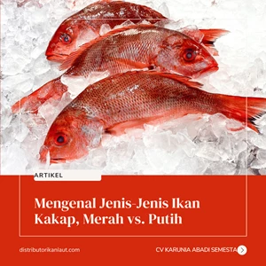 Mengenal Jenis-Jenis Ikan Kakap, Merah vs. Putih