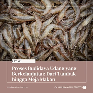 Proses Budidaya Udang yang Berkelanjutan: Dari Tambak hingga Meja Makan